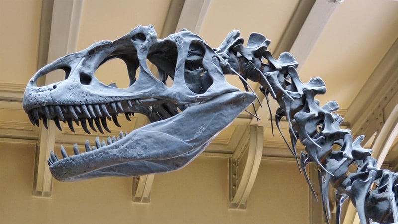 Dinosaurs Roaming